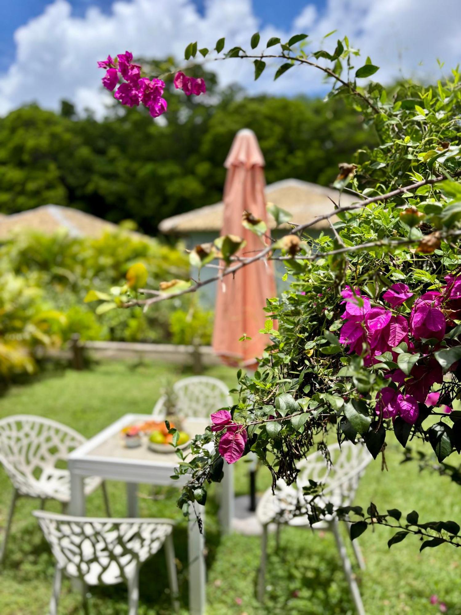 Katalea - Blue Dream, Plage, Piscine, Bar Grand-Bourg (Marie Galante) Exterior photo